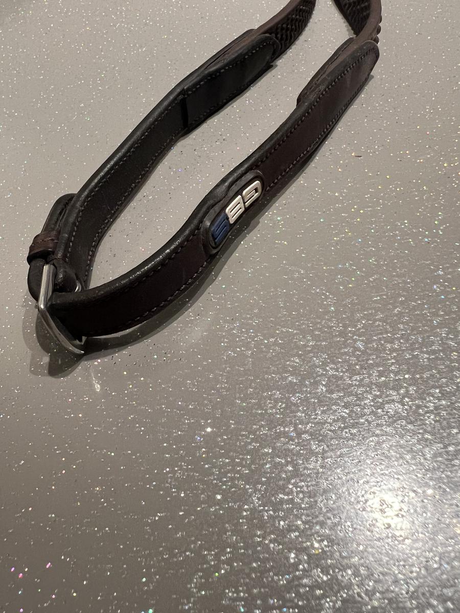 Rênes GBS biothane avec arrêtoirs