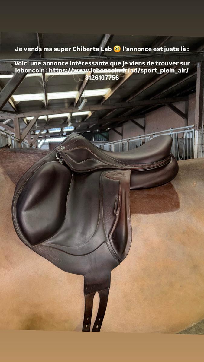 chirberta Lab 17pouces