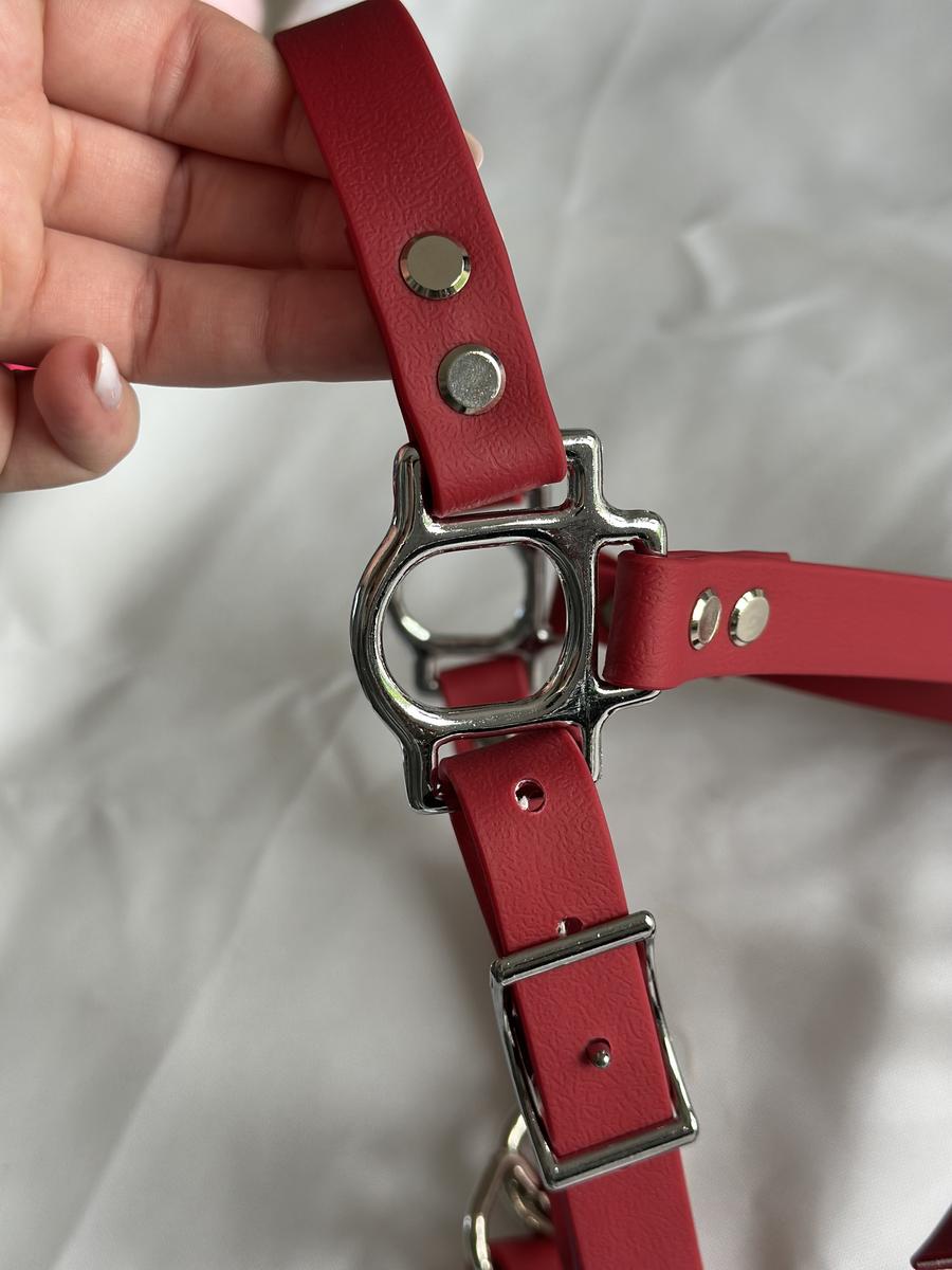 Licol sangle enduite bordeaux