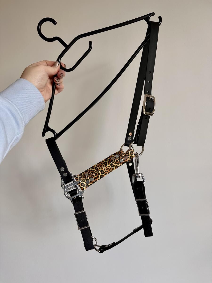 Licol léopard
