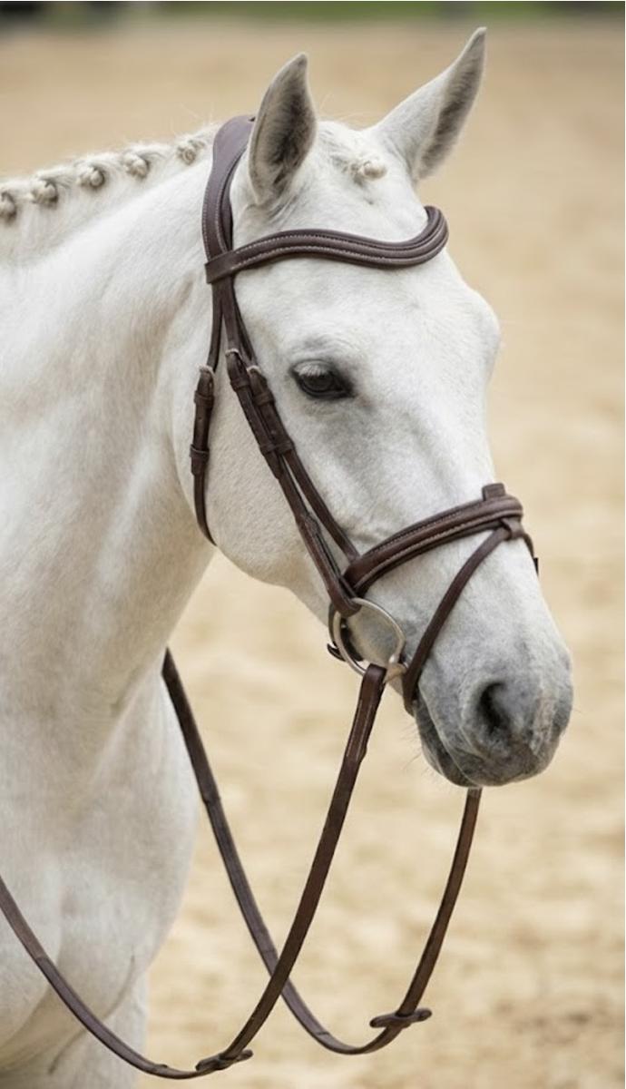 Filet en cuir Elekka et Renes - Taille Cheval - Marron