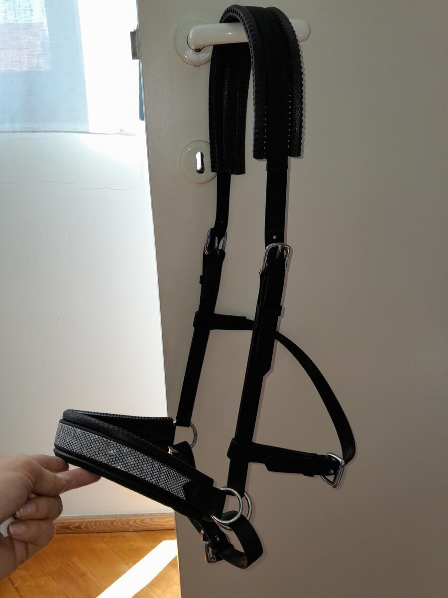 Sidepull biothane Horse and ropes