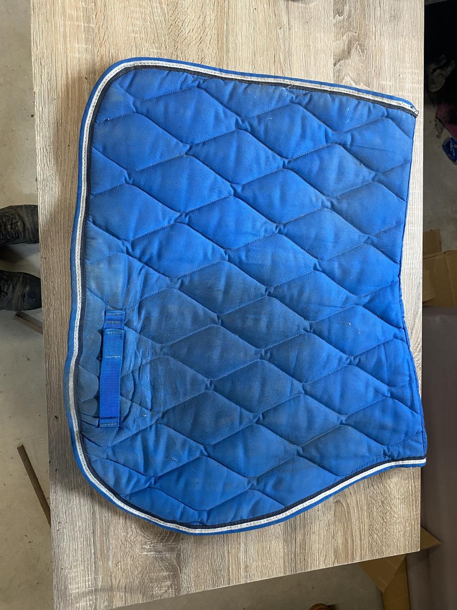 tapis bleu électrique