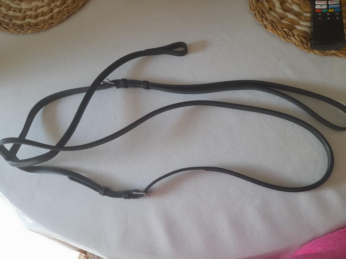 Martingale fixe antares