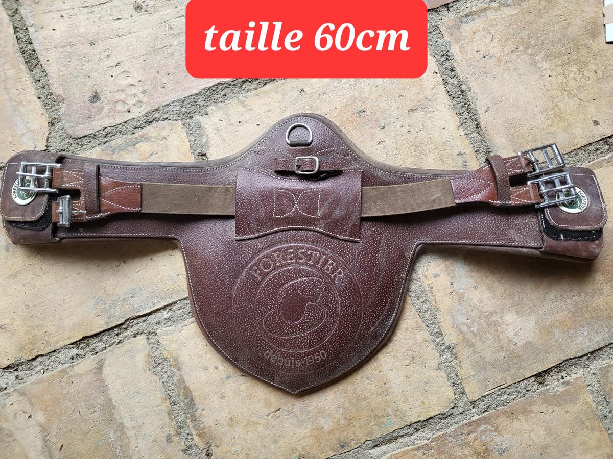 Sangle bavette courte