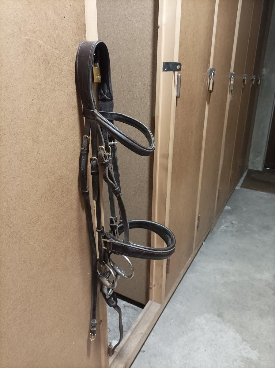 Bridon havane taille cob