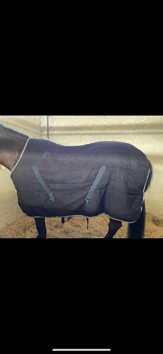 Couverture 200g horseweare