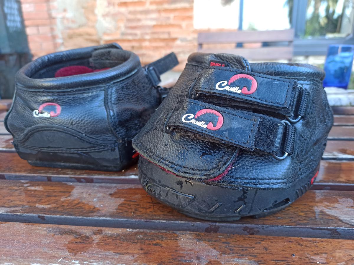 Hipposandales cavallo 6