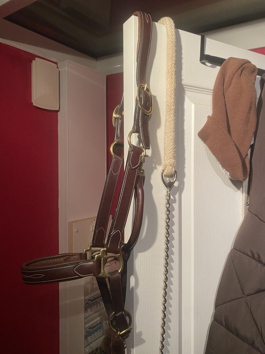 Licol en cuir IKONIC