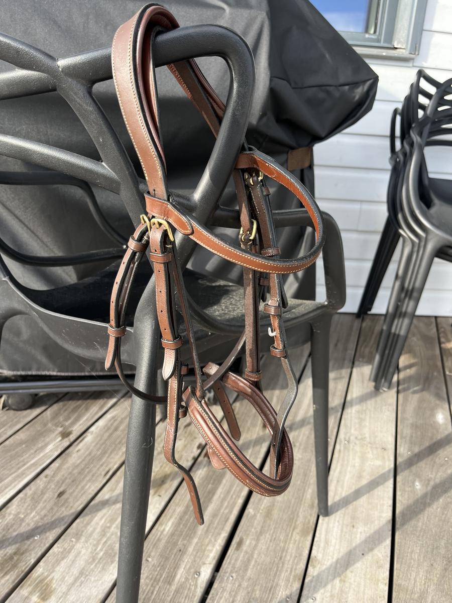 Bridon Eric Thomas poney