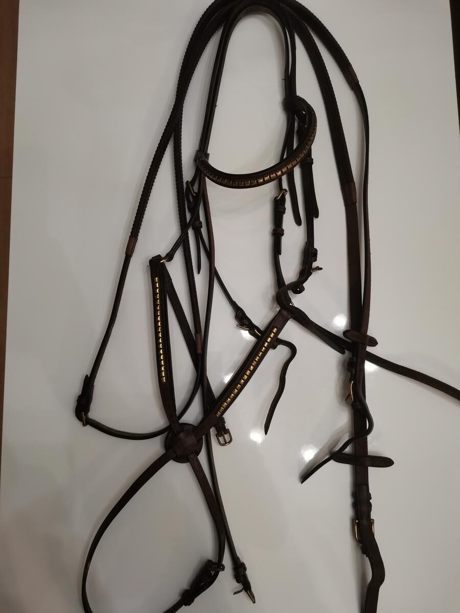 Bridon Cheval Hervé Godignon