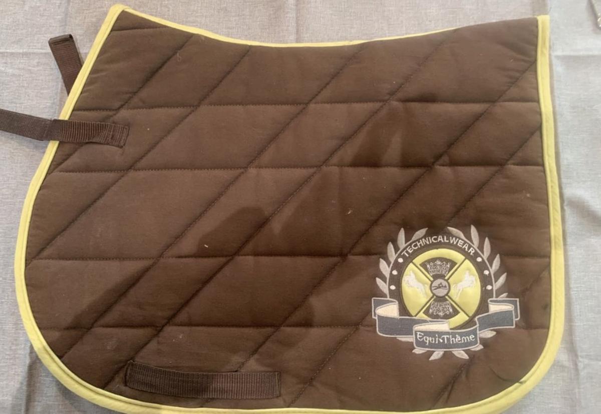 Tapis poney equitheme