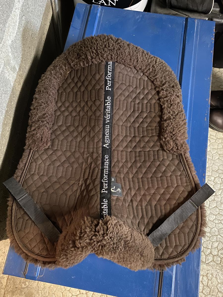 Amortisseur mouton performance