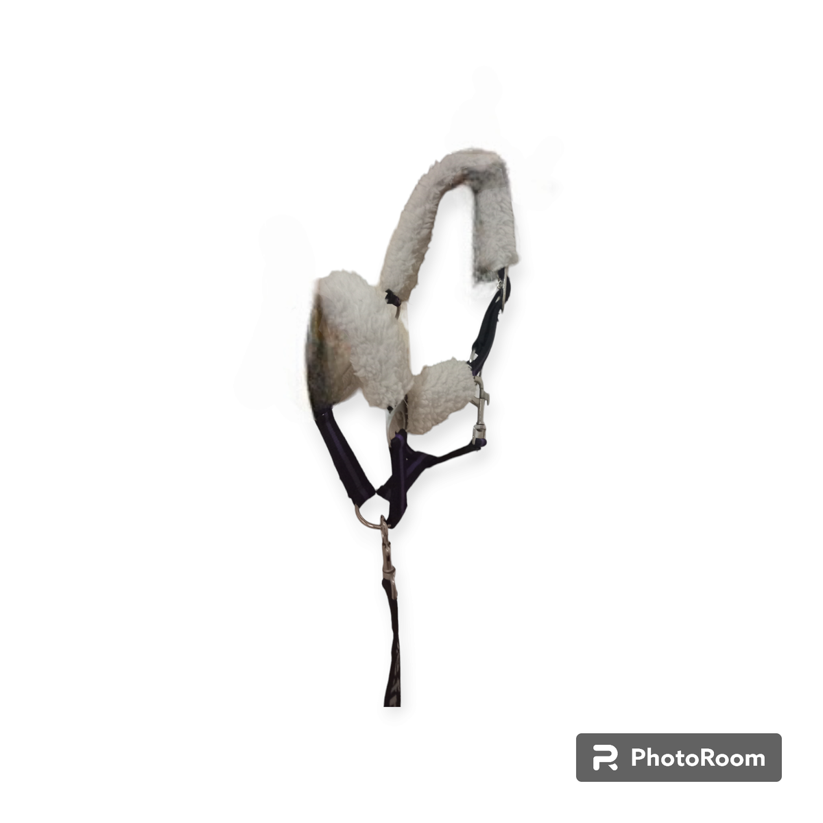 Licol, longe et moumoute