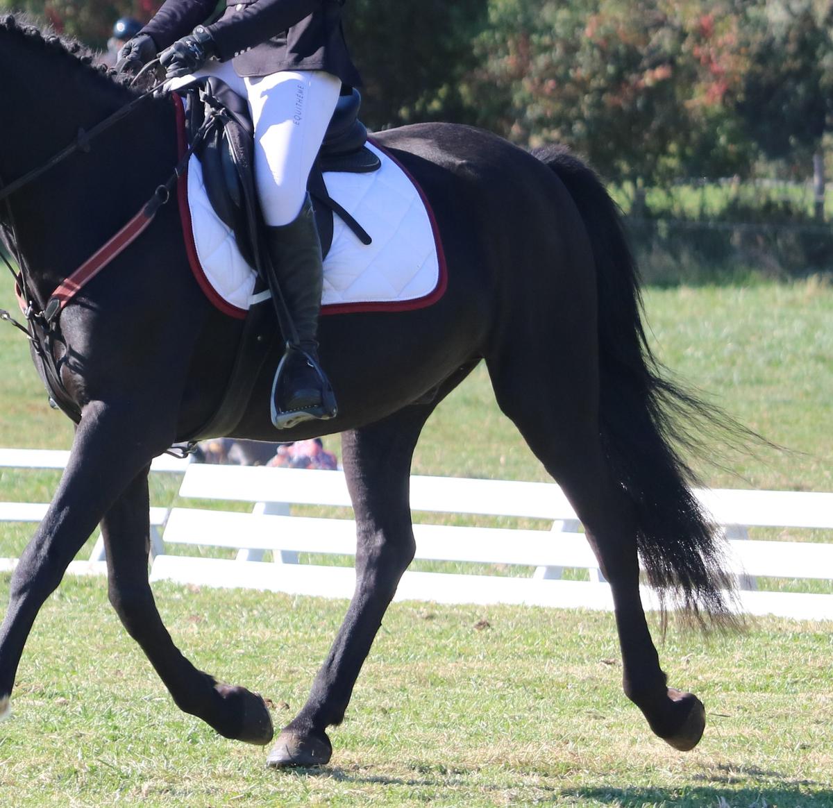 Tapis bordeaux et blanc