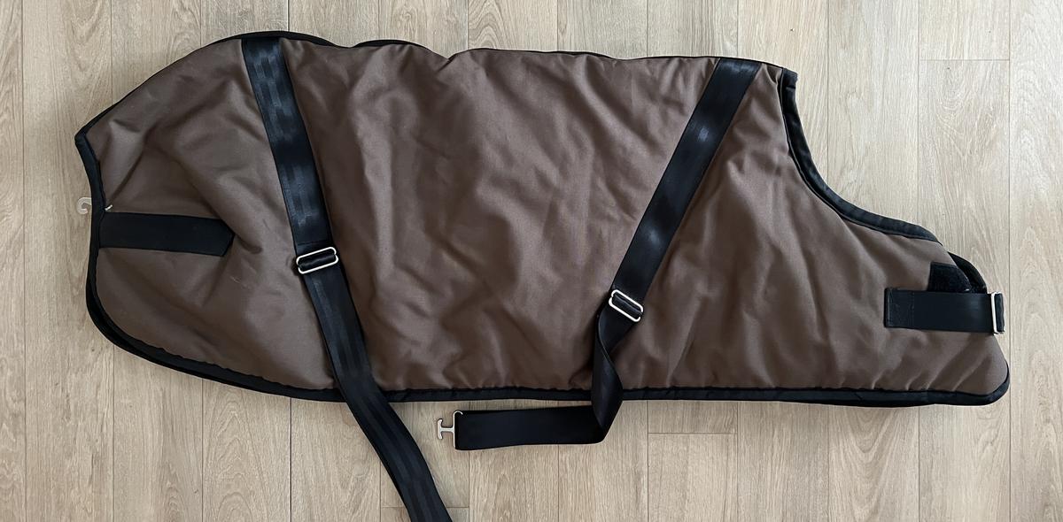 Hunter couverture poulain