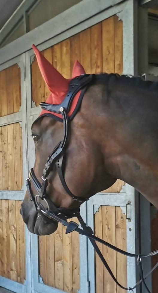 Stübben - Trensenzaum 2500 Freedom