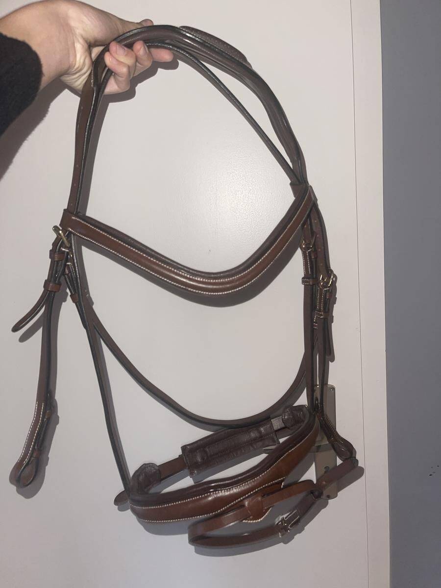 bridon marron éric thomas