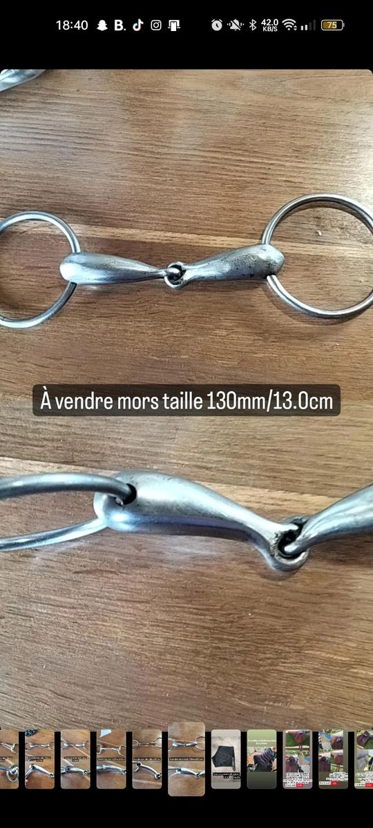 mors taille 130