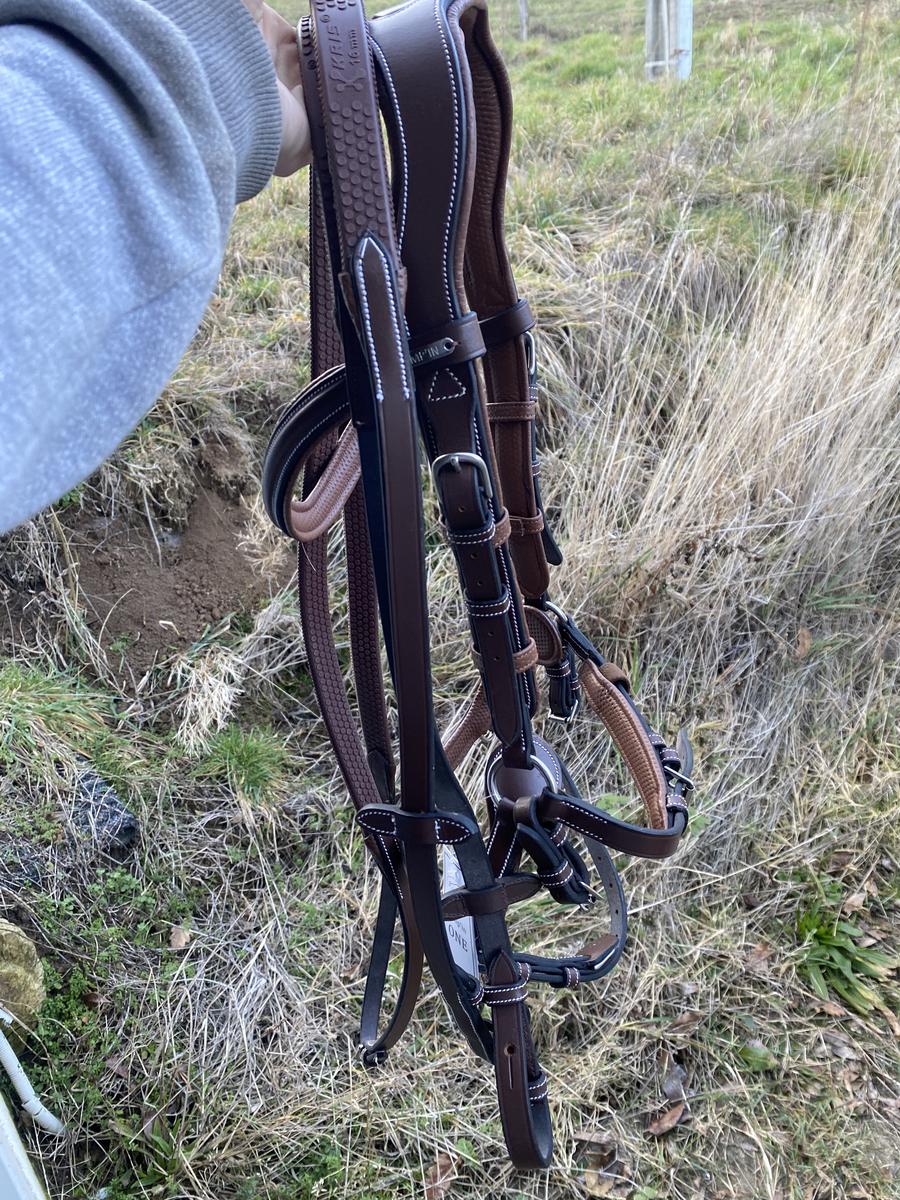 Bridon jumpin New York