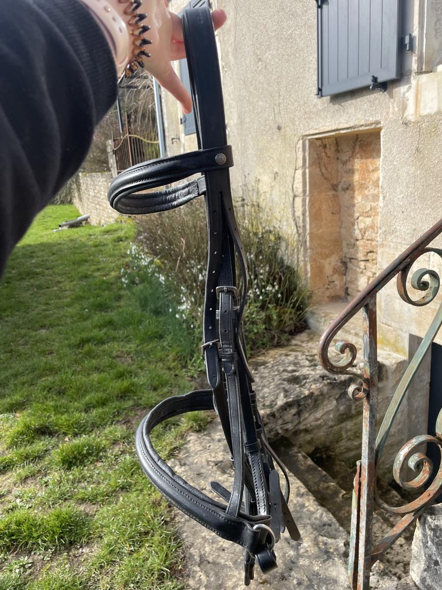 Bridon taille cheval