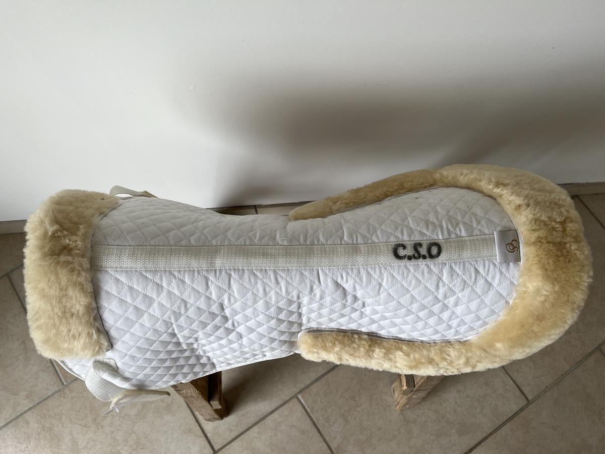 Amortisseur CSO mouton