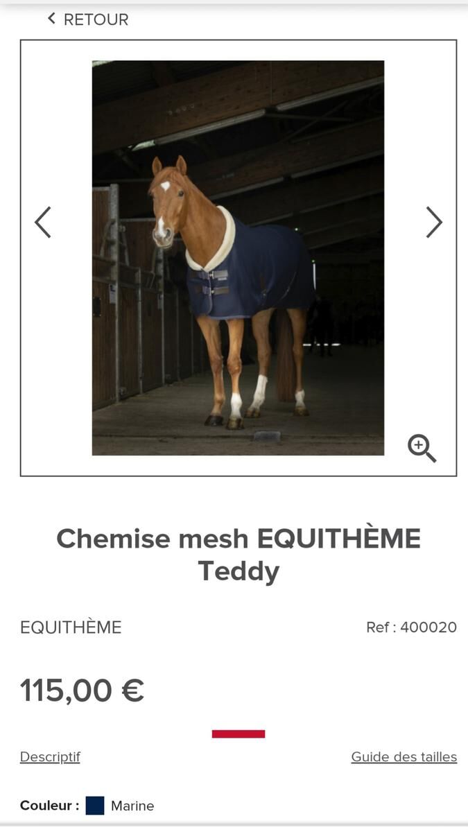 Chemise mesh equitheme teddy