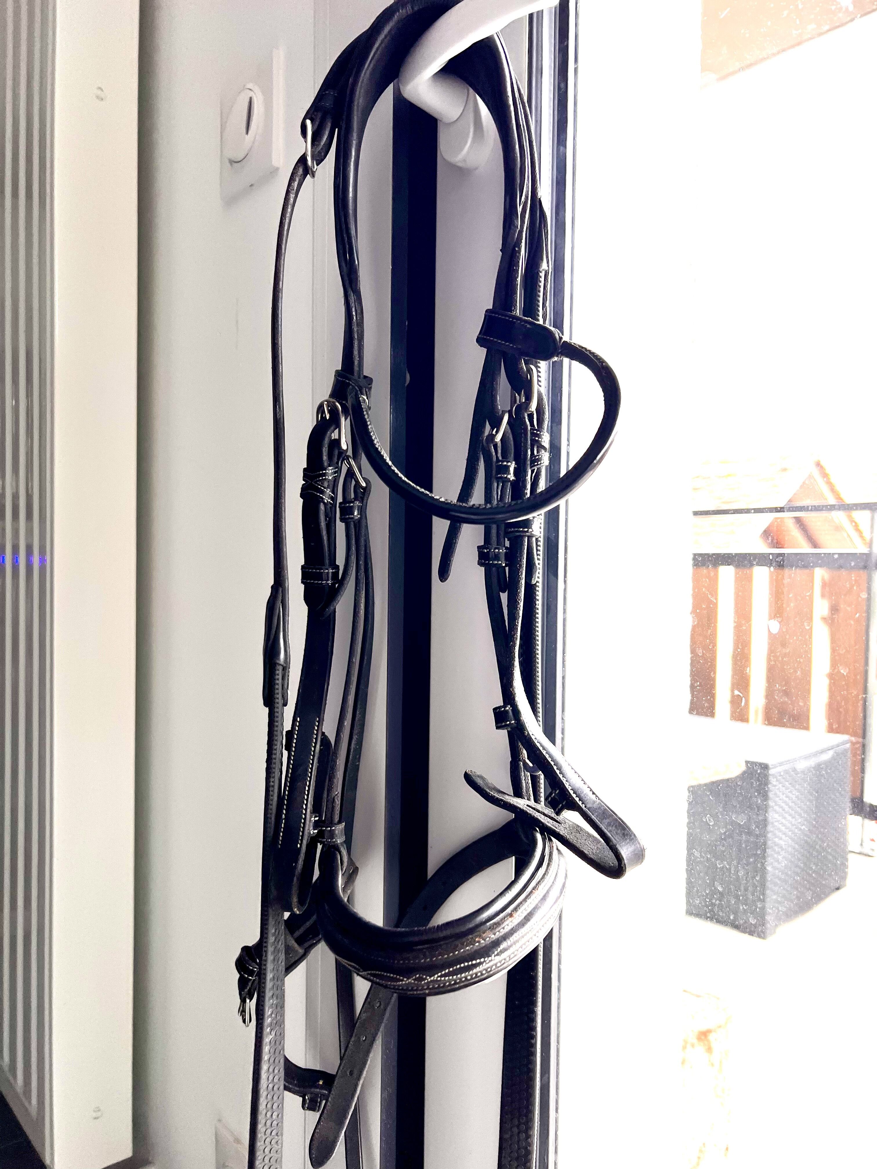 Bridon Jumpin Wednesday