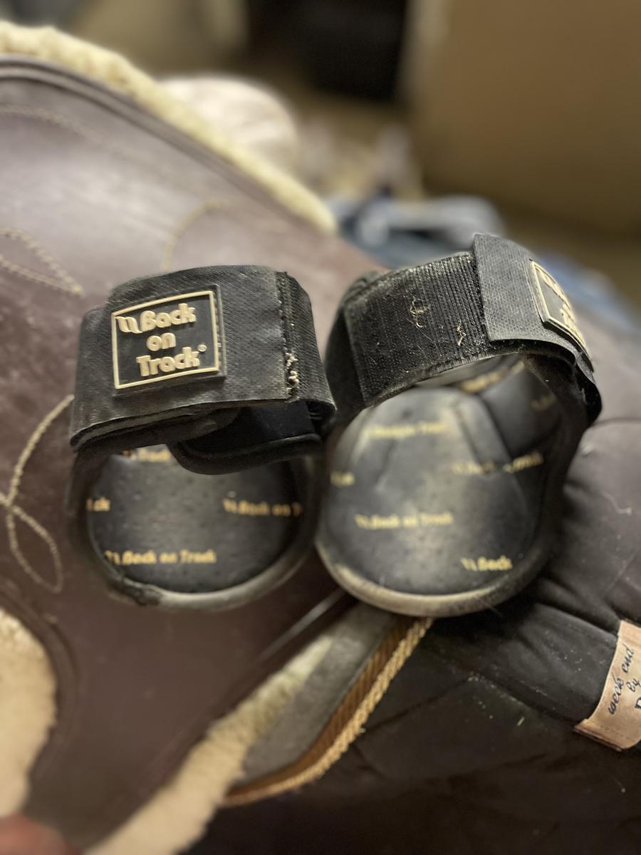 Protections Back on Track