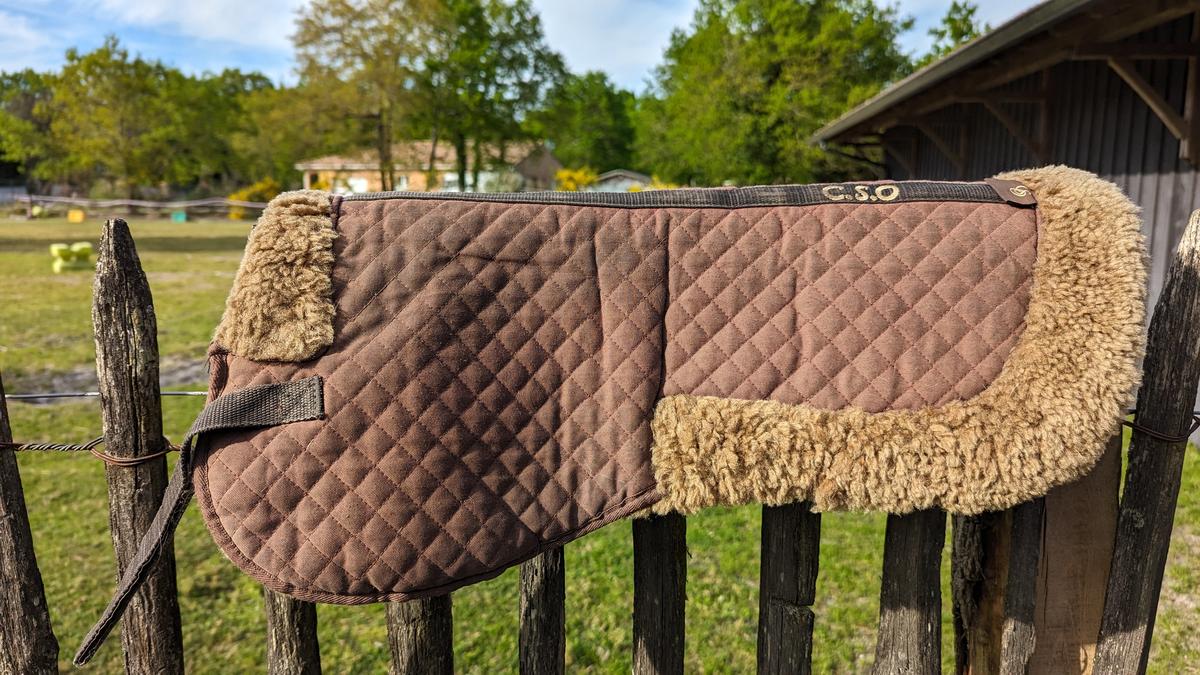 Amortisseur CSO en Mouton