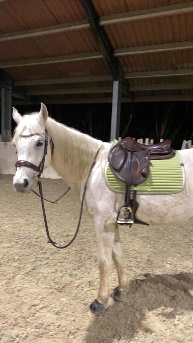 Selle mono quartier Equipe