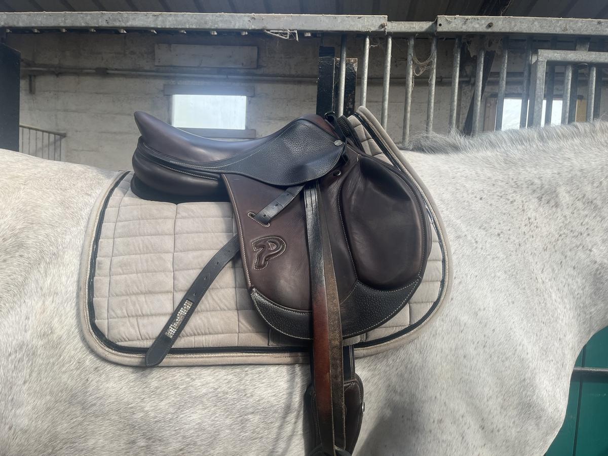 Selle mixte orientée obstacle 17 pouces très bon état