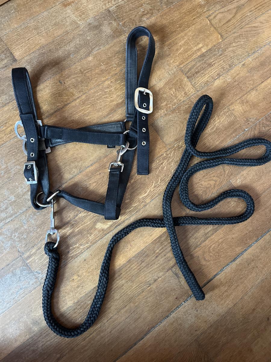 Licol +longe d’équitation