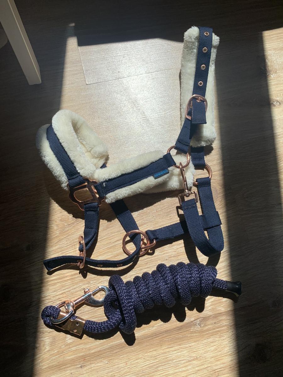 licol et longe bleu marine/rose gold taille poney