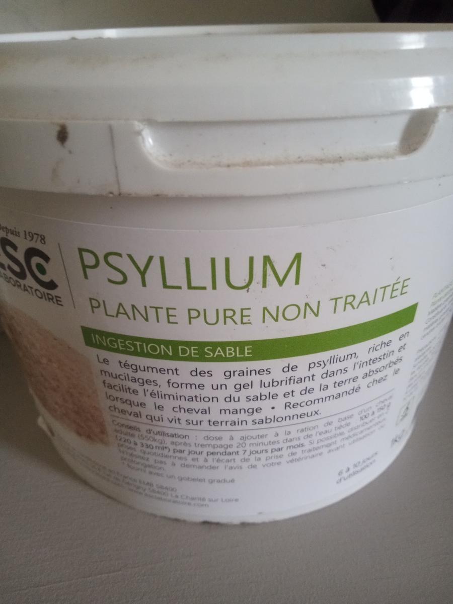 Psyllium