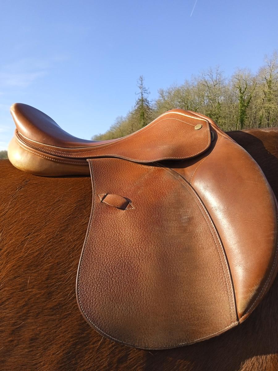 Selle mixte havane 17.5 pouces