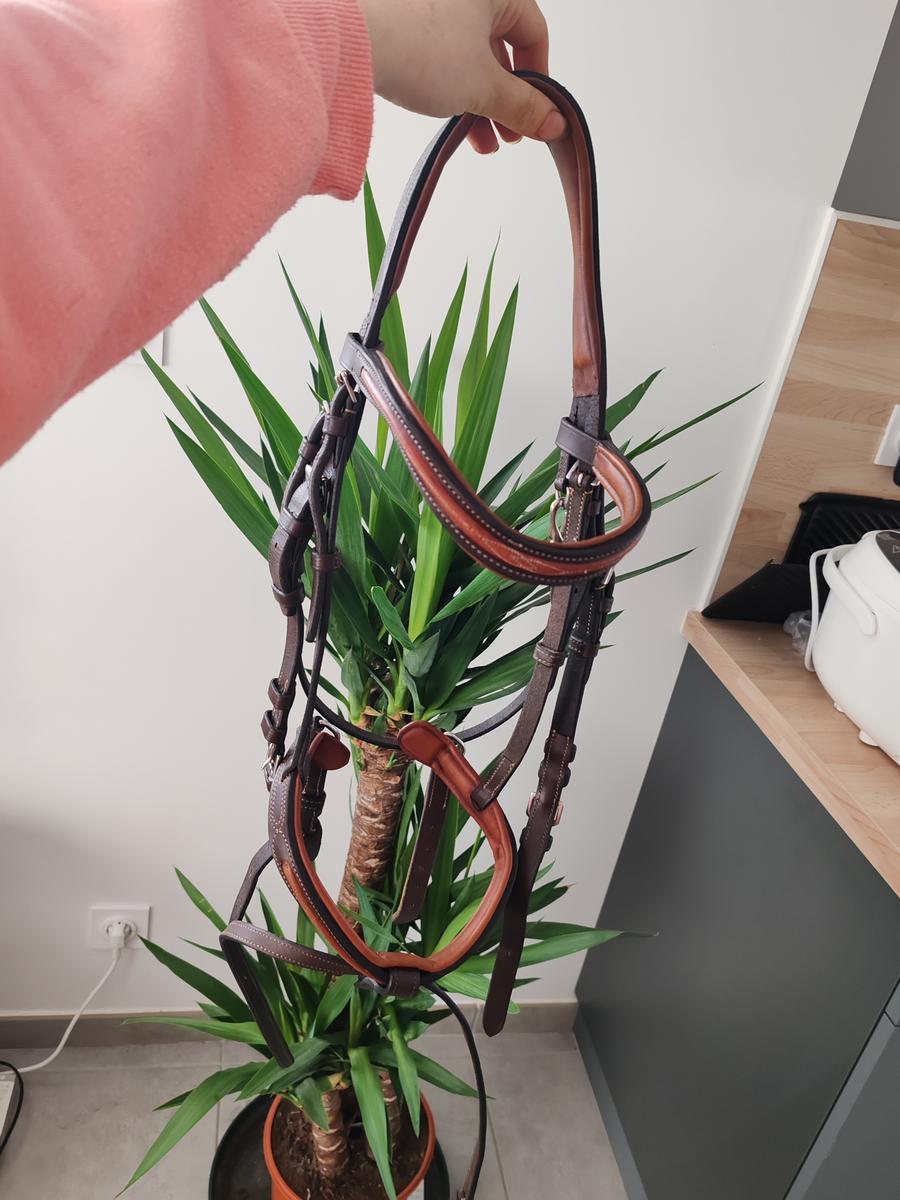 Bridon cob + don embouchure