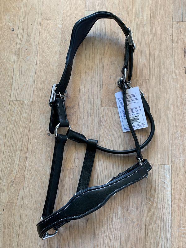 Licol en cuir neuf noir et bleu marine Flags & Cup Full