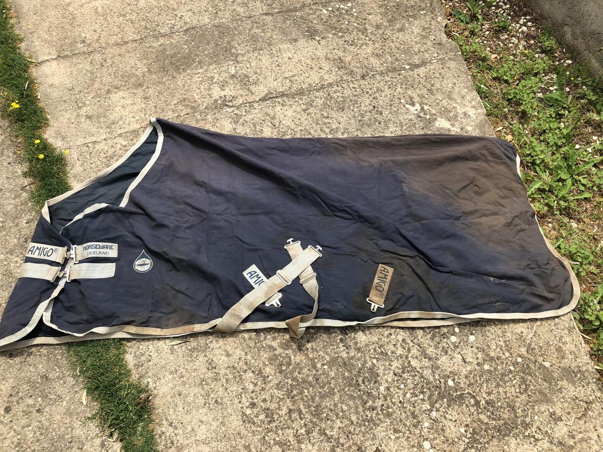 Chemise Amigo horseware