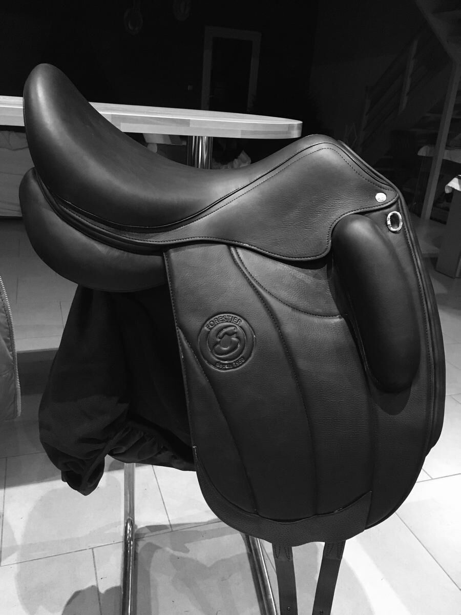 Selle forestier Aachen 2022