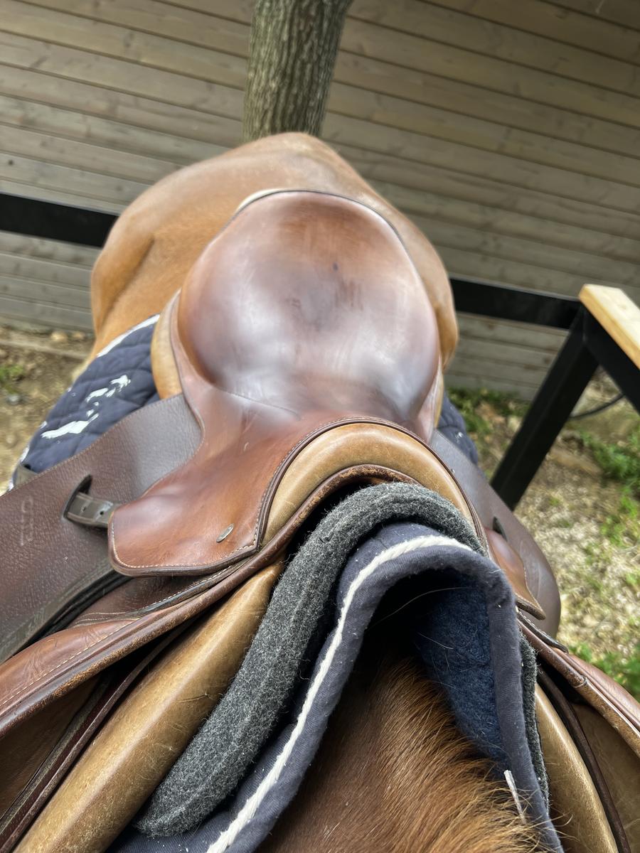 selle jump’in godignon