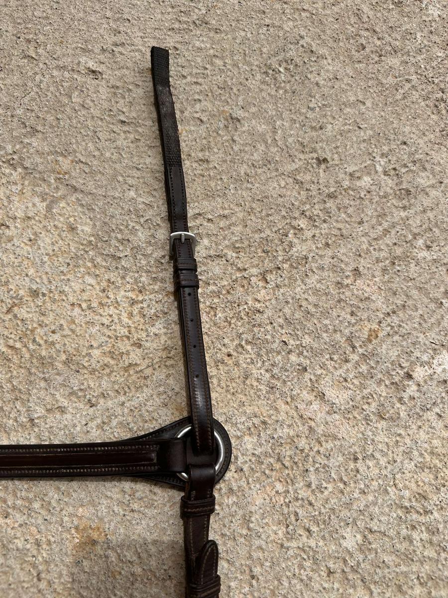 Collier de chasse GBS