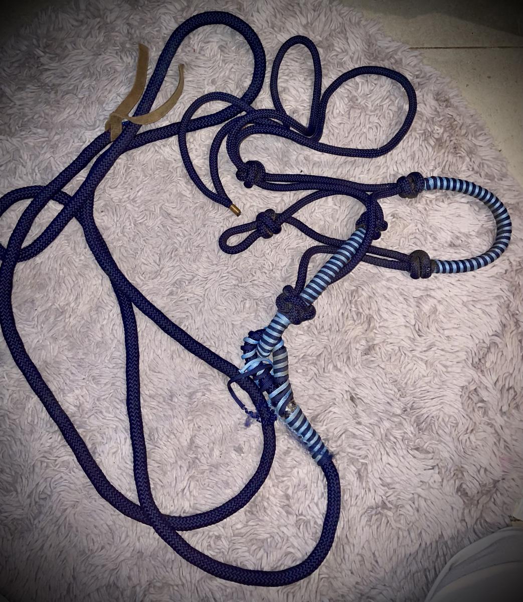 Licol éthologique avec sa longe