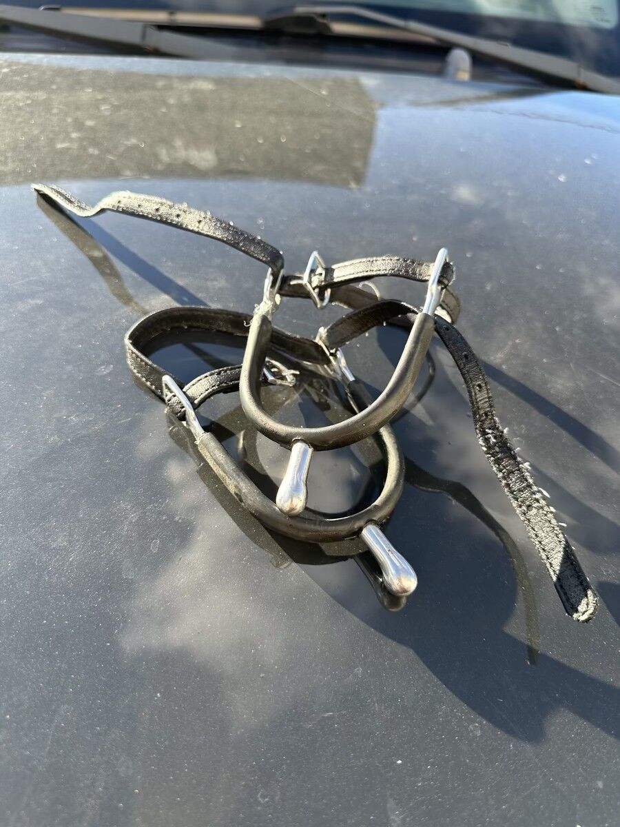 Eperons Prince de Galles