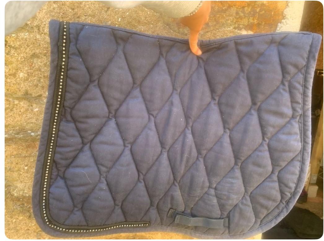 tapis bleu marine à strass