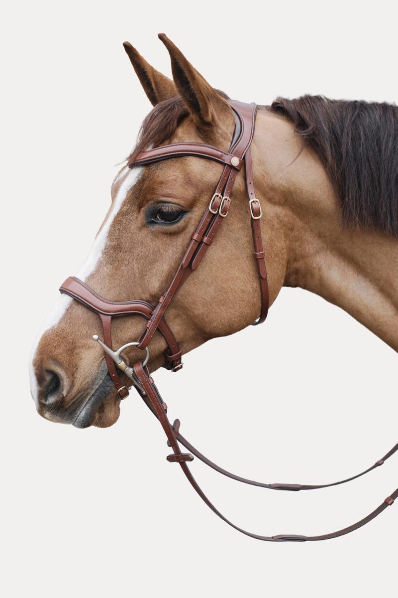 Bridon anatomique Amiko & Friends