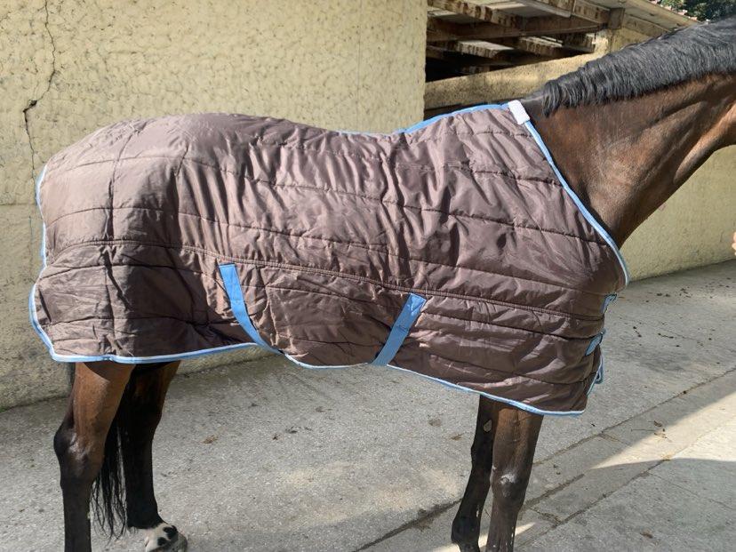 Couverture Fouganza d'écurie