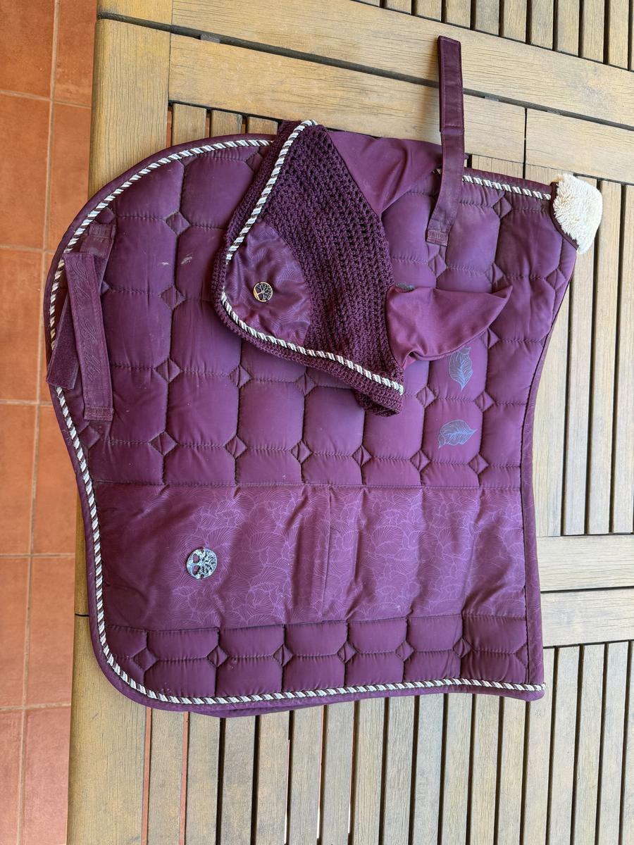 Ensemble BR dressage