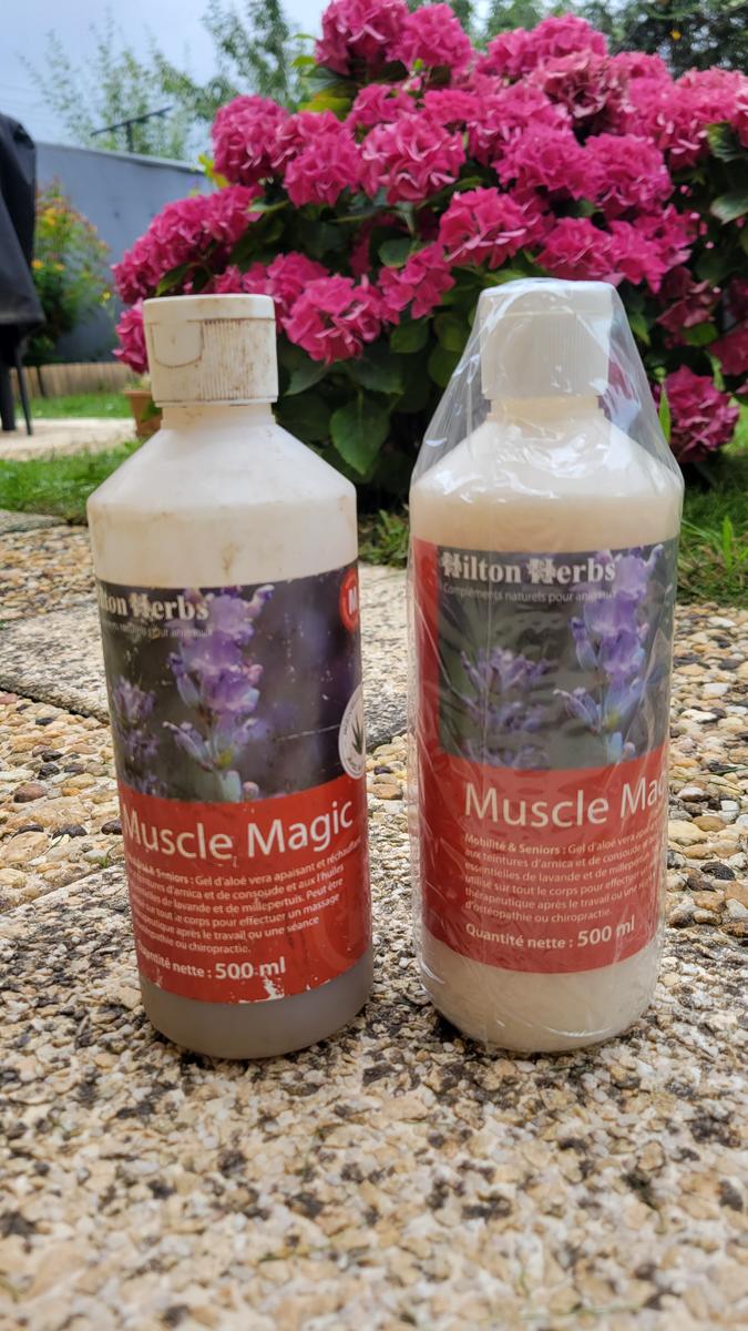 Muscle Magic Hilton Herbs