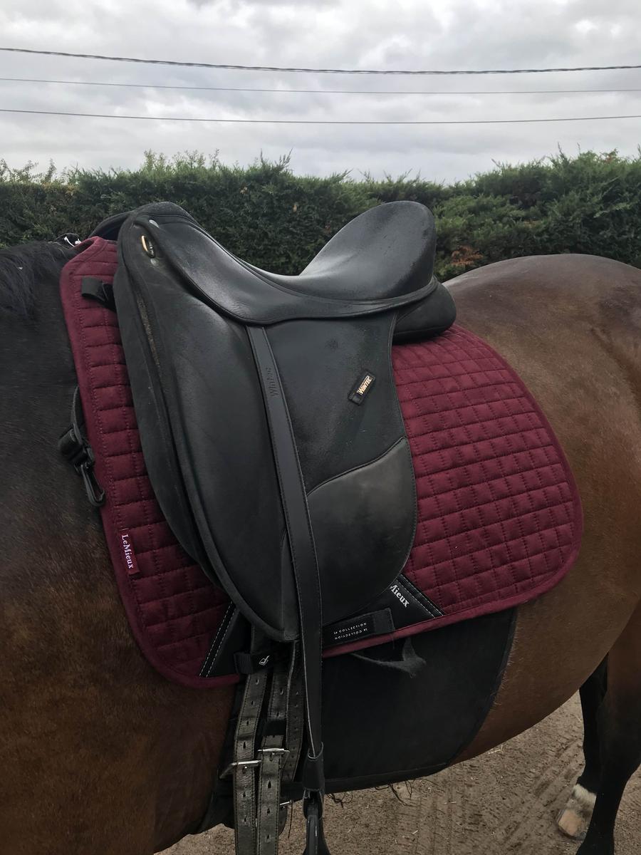 tapis dressage bordeaux Lemieux